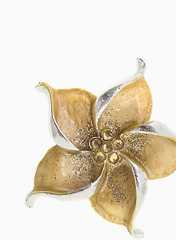 single-product-24-gallery-01 single-product-24-gallery-01